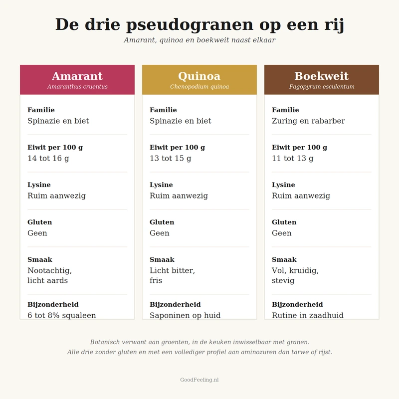 Vergelijking van de drie pseudogranen amarant, quinoa en boekweit met eiwit, lysine, gluten en smaak op een rij
